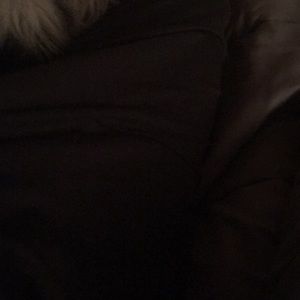 Meet your Posher, Benny